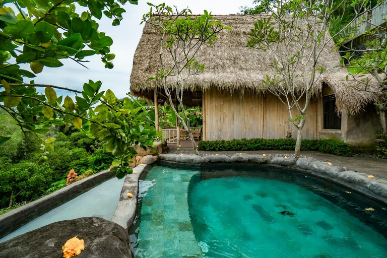 Swimming Pool 14