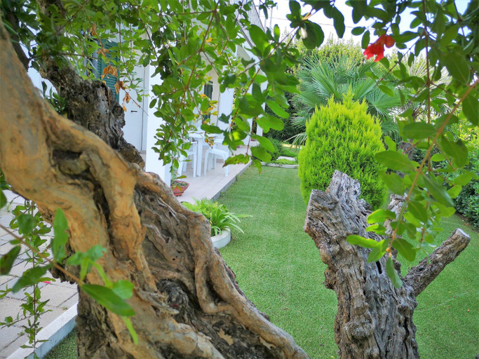 Others 4, B&B Dimora ROSSIPINTI, Chieti