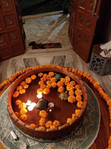 Food & Drinks 5, Home of the world, Jaipur