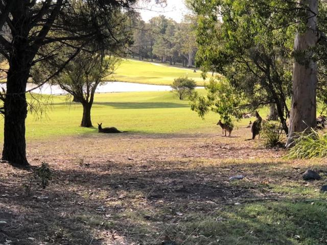 Others 5, Golf View Motel, Shoalhaven - Pt B