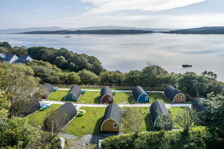 Others 5, Berehaven Pods