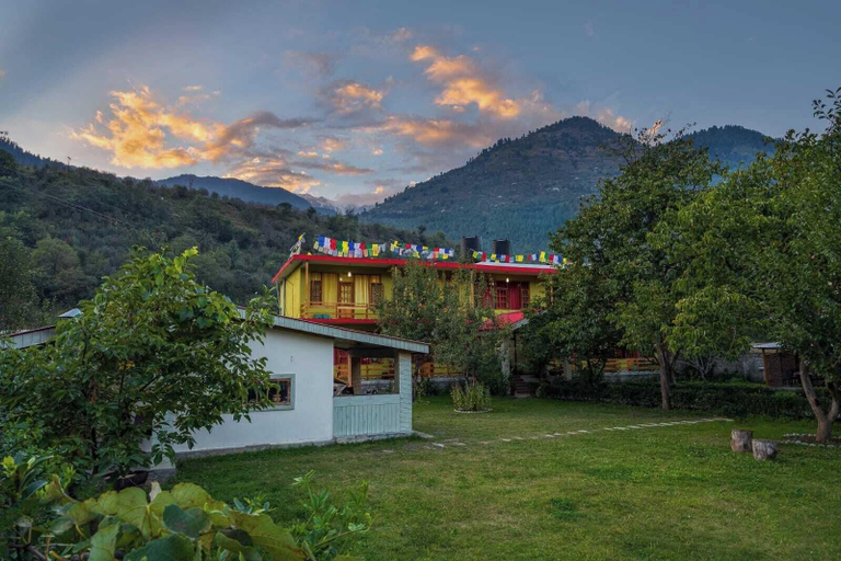 Others 5, Persimmon Farmstead, Kullu
