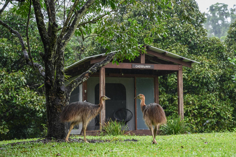 Others 5, Noah Creek Eco Huts, Douglas