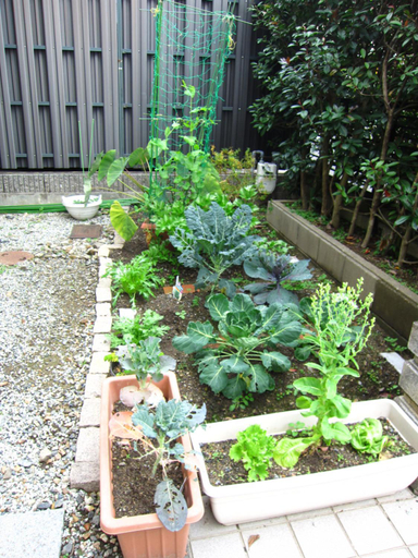 Garden, Kyo-no-sato 京の里, Kyoto
