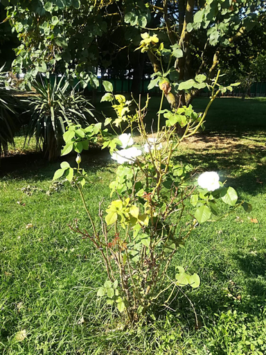 Others 5, B&B Tenuta Madiba, Ravenna