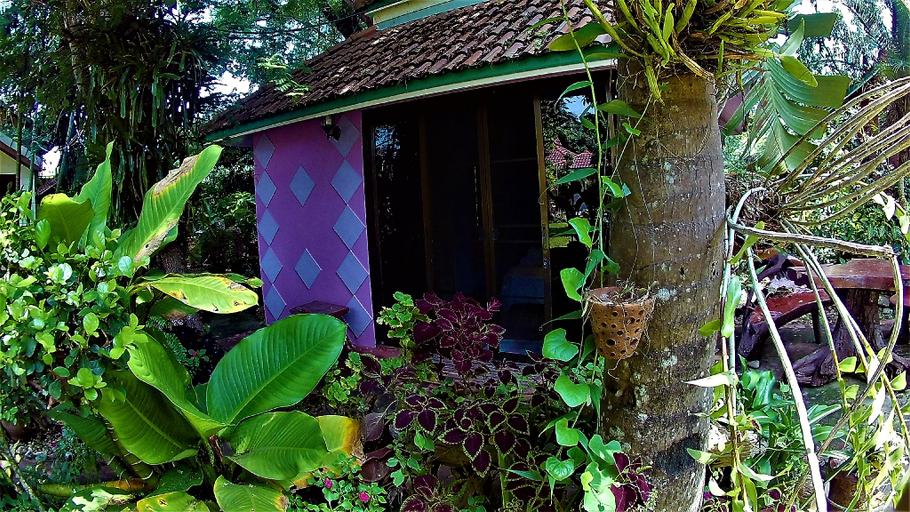 Exterior 4