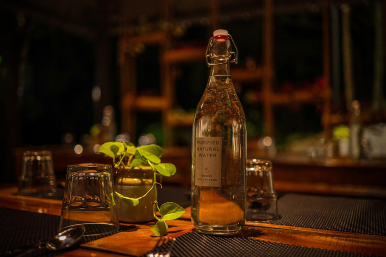 Food & Drinks 5, Golden Fern Resort, Idukki