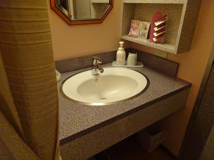 Bathroom, HOTEL Rplus Higashimatsuyama, Namegawa