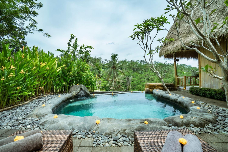 Swimming Pool 4