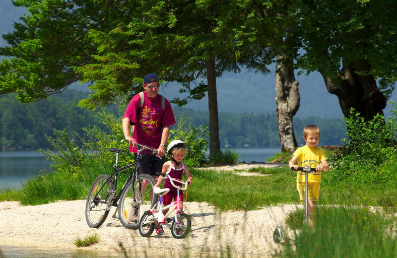 Others 5, PRIVILLAGE Stare - B&B, Bohinj