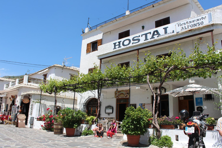 Others 5, Hostal Pampaneira, Granada