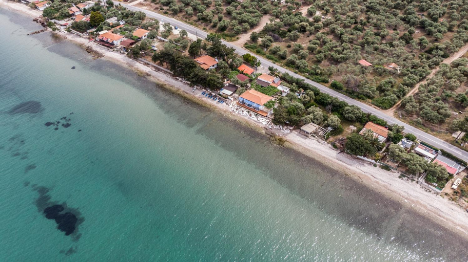 Others 5, Studios Plaka, East Macedonia and Thrace