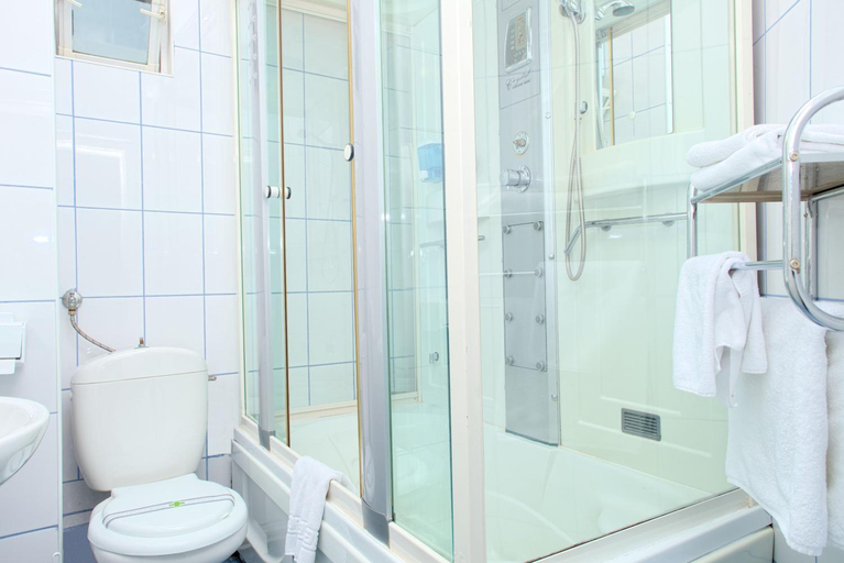 Bathroom 4, Pensiunea Leo, Brasov