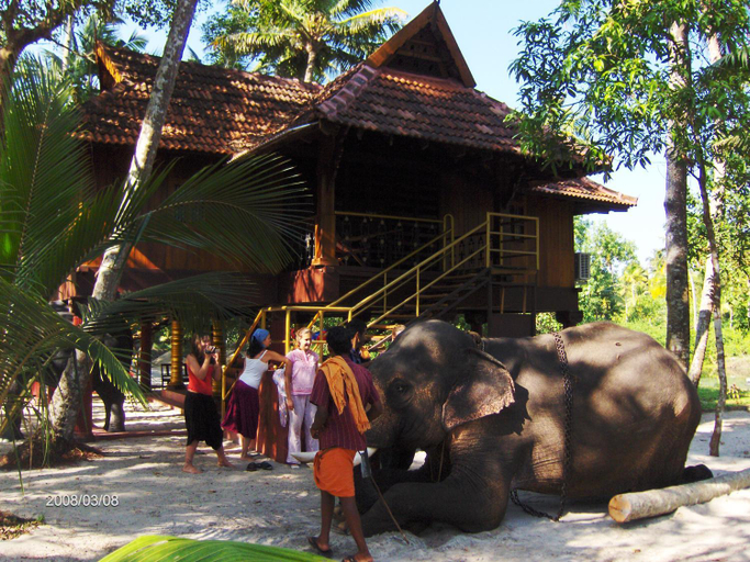 Others 4, Elephant Courtyard- A Heritage Homestay, Alappuzha