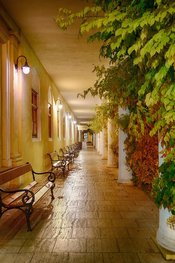 Others 5, SPA HOTEL PRO PATRIA, Pieštany