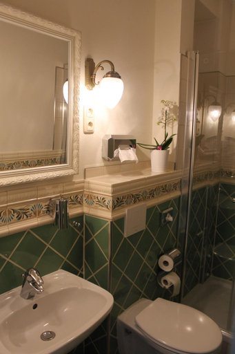 Bathroom 5, Stadtparkhotel Alexandra, Goslar