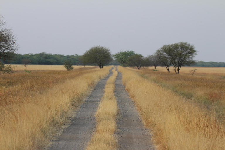 Others 4, The Blackbuck Trails velavadar, Bhavnagar