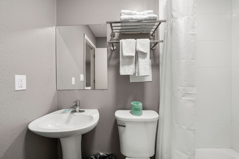 Bathroom 2, Southern Suites Cartersville, Bartow