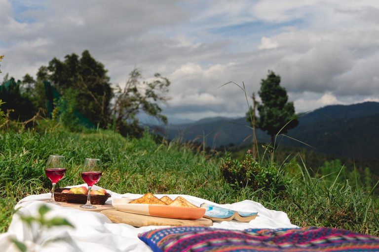 Others 5, The Soul Stroll Cottages, Nainital