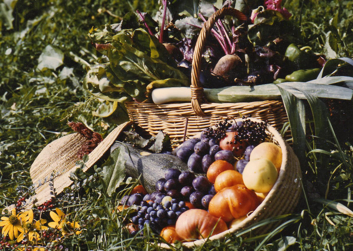 Food & Drinks 5, Landhaus Waldfrieden, Graz Umgebung