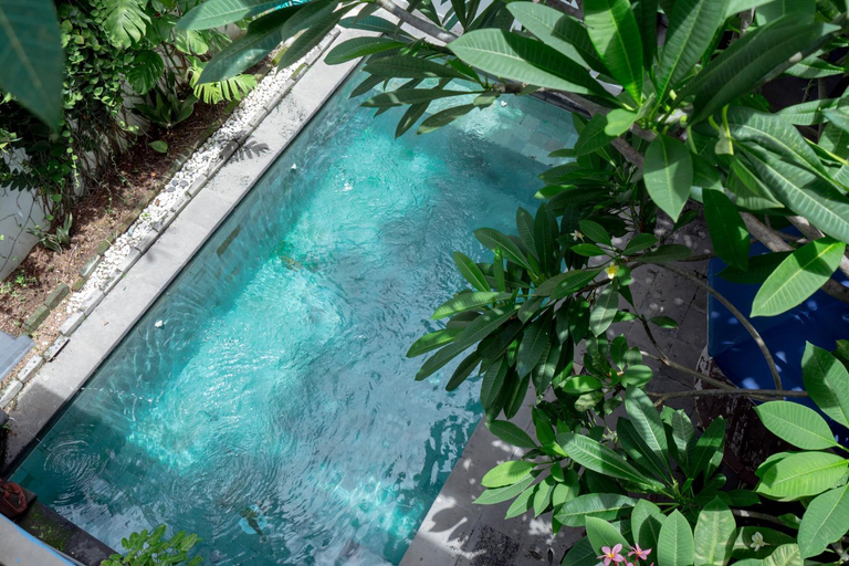 Others 5, D'joemah Nadja Homestay, Denpasar