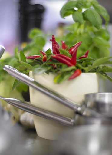 Food & Drinks 5, Adler Hotel & Restaurant Groß-Gerau, Groß-Gerau