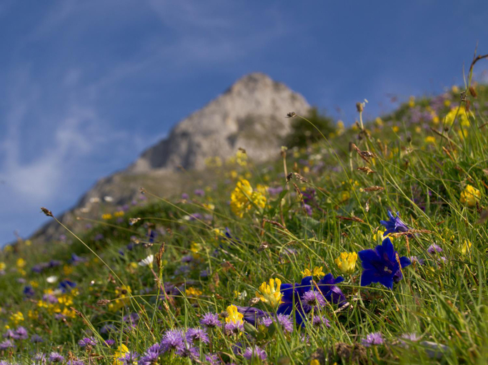 Others 5, Barbarahof, Sankt Johann im Pongau