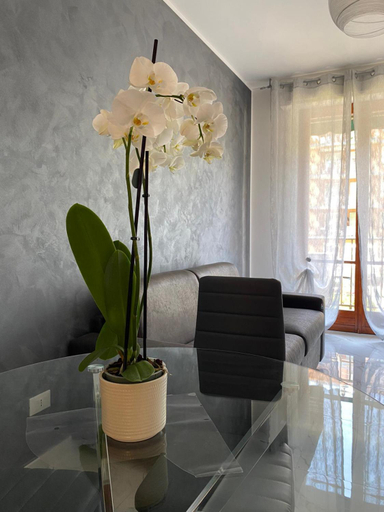 Others 5, Casa grigio perla, Imperia