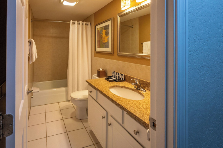 Bathroom, Birchmont Townhouses, Carroll