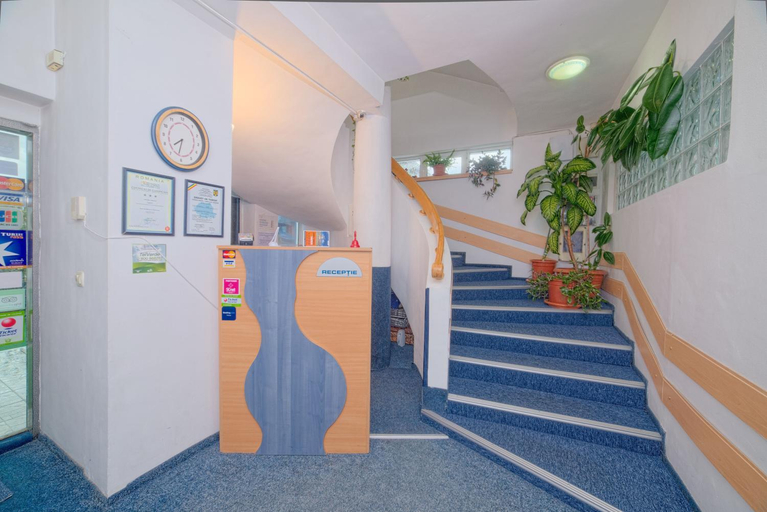 Public Area 2, Pensiunea Leo, Brasov