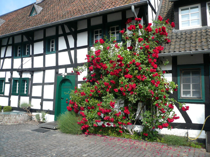 Exterior & Views 2, Falderhof, Köln