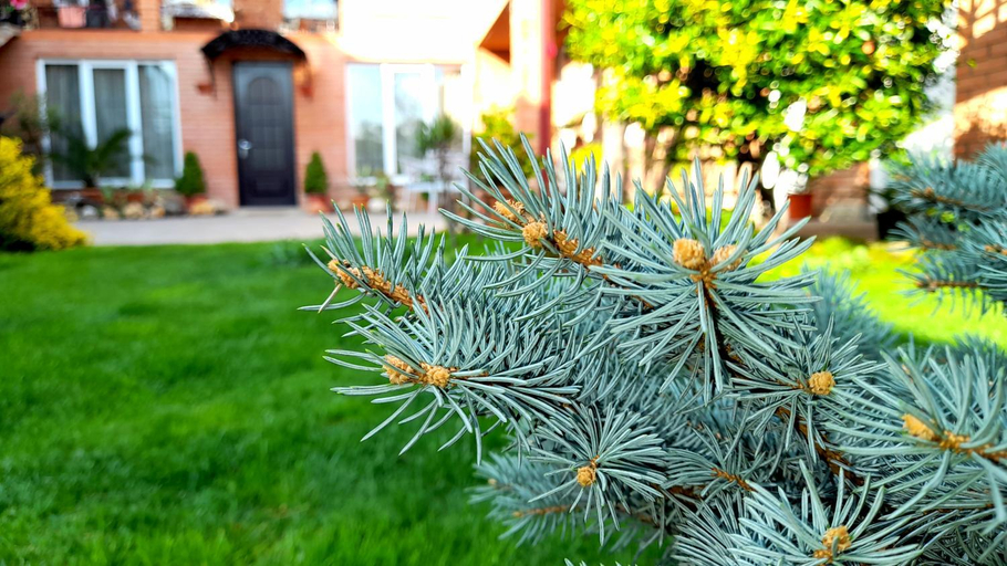 Others 4, GREEN GARDEN, Tbilisi