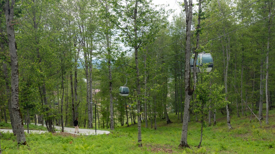 Others 4, Crystal Town House, Borjomi