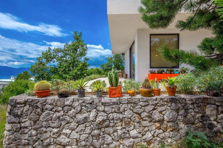 Others 3, Villa Orange, small house in a pine forest, Rijeka