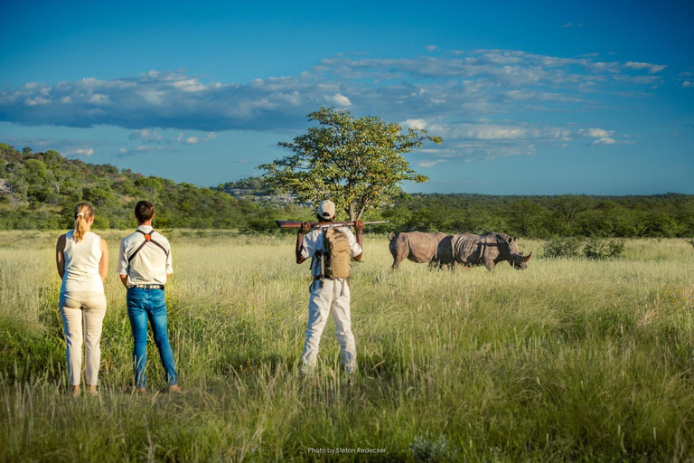 Others 4, Anderssons at Ongava, Kamanjab