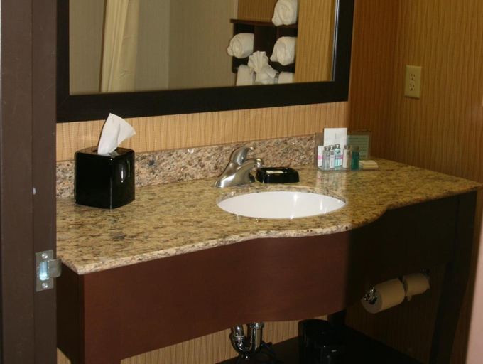 Bathroom 3, Hampton Inn & Suites Peru, La Salle