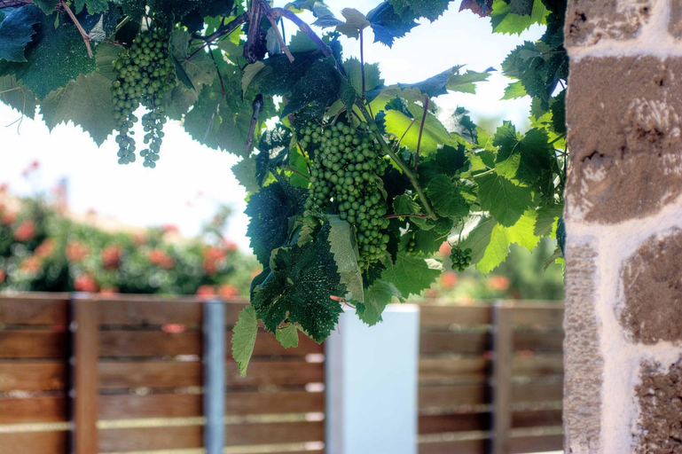 Garden 5, Issos Apartments, Ionian Islands