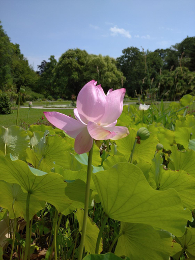 Others 2, Botanical garden, Zagreb