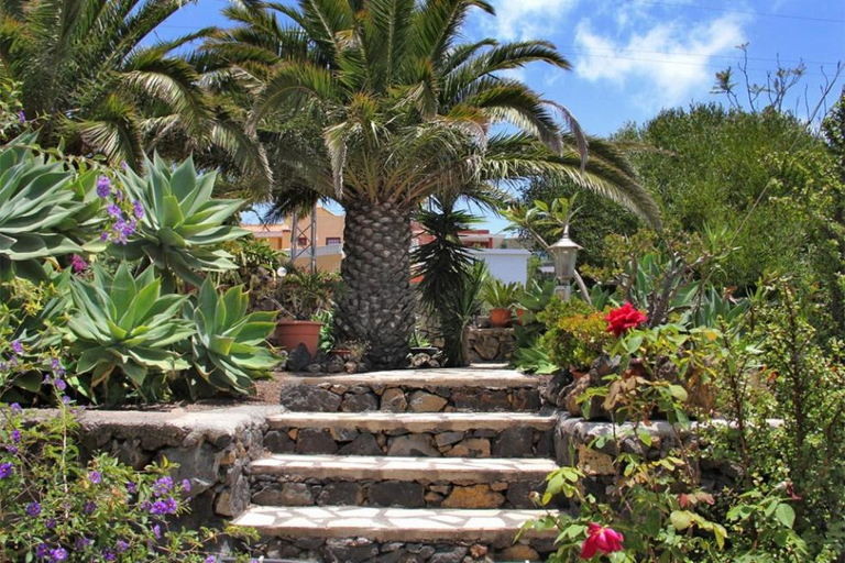 Others 5, Jardin de Aridane, Santa Cruz de Tenerife