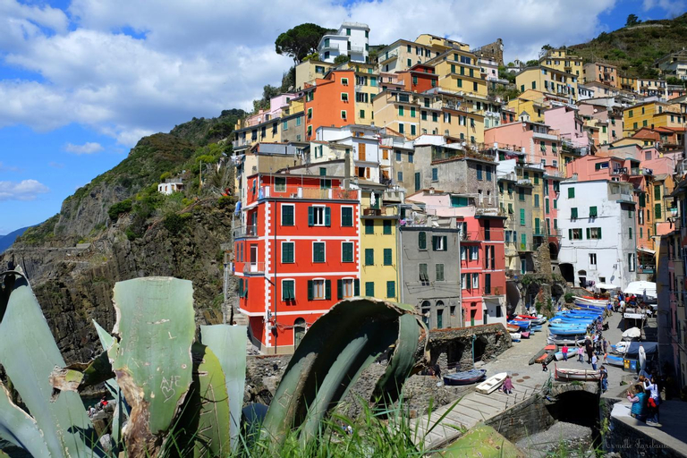 Exterior & Views 1, Meb, La Spezia