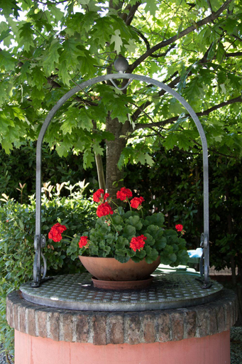 Others 5, Case Rosse Suite, Lucca