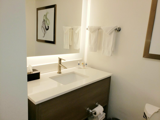 Bathroom 4, Comfort Suites Valdosta, Lowndes