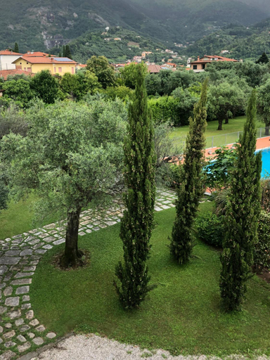 Scenery 12