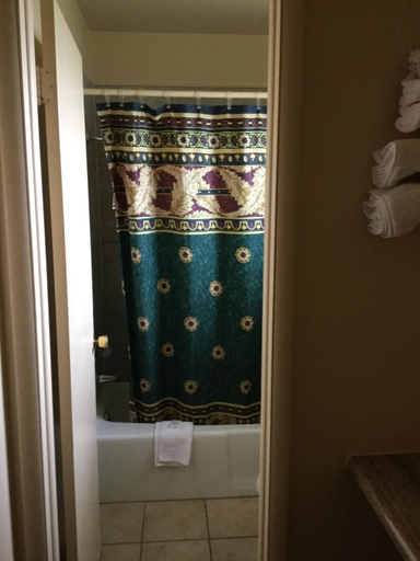 Bathroom 3, Deluxe Inn, Licking