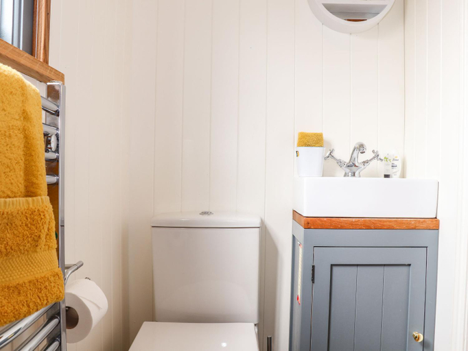 Bathroom 2, Godrevy Shepherds Hut, Cornwall