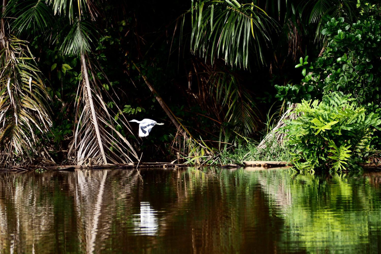 Others 3, Casa Grande at Pacuare Reserve, Matina