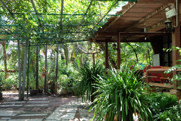 Scenery 4
