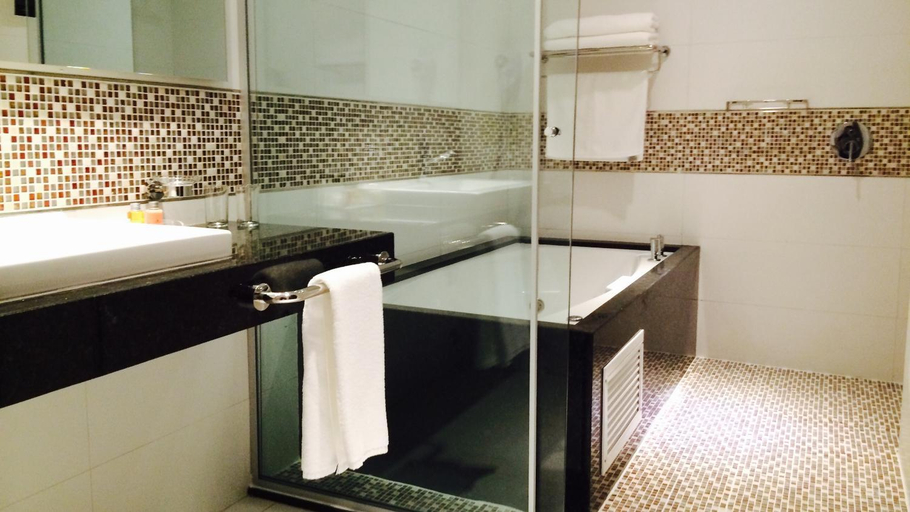 Bathroom 4, Carnaval Hotel Casino, Cambyreta