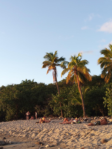 Others 3, LES GITES DU DOMAINE DE PETITE-ANSE, Bouillante