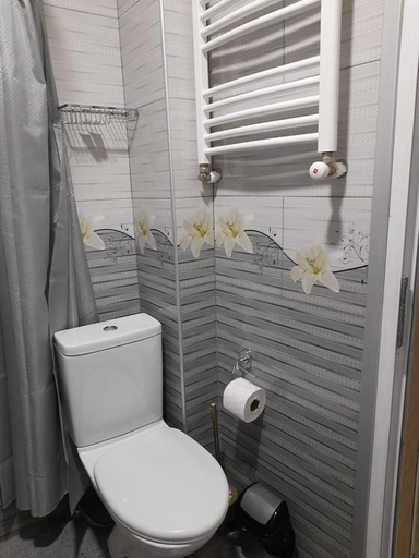 Bathroom, AnSeZa, Tskaltubo